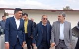 حمایت قاطع دولت از تولید و اشتغال؛ استاندار کهگیلویه و بویراحمد در بازدید از طرح عظیم پرورش شترمرغ