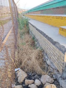 استادیوم چرام در مسیر فرسودگی؛ مطالبه برای ورود جدی مسئولان و تعیین تکلیف وضعیت مجموعه