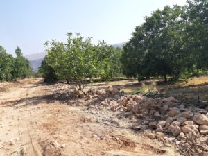 پیام تقدیر و تشکر خانواده شهید محمد پور ده شیخ از نماینده کهگیلویه بزرگ ، فرماندار چرام و راهداری حمل و نقل جاده ای