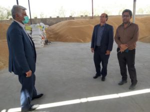 بازدید فرماندار چرام به همراه رئیس جهادکشاورزی از شرکت تولید بذر بردیان