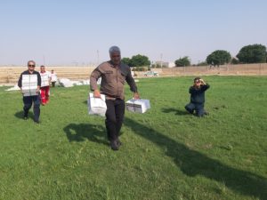 امدادرسانی به سیل زدگان ساورز،تیزاب و بایار شهرستان چرام با بالگرد شروع شد