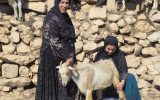 فیلم سینمایی «افسانه» به کارگردانی خلیل عمران‌پور در حال تولید است